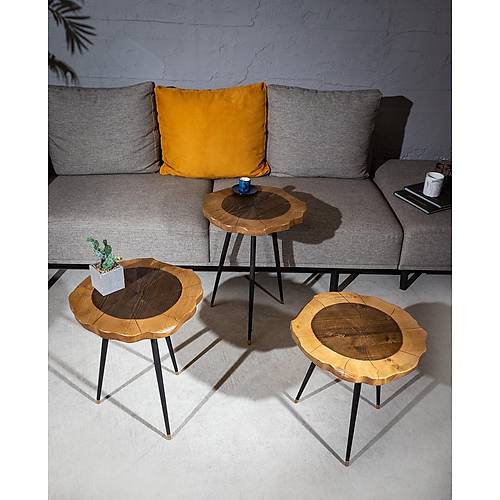 Harley Servis Sehpa - Görsel 3