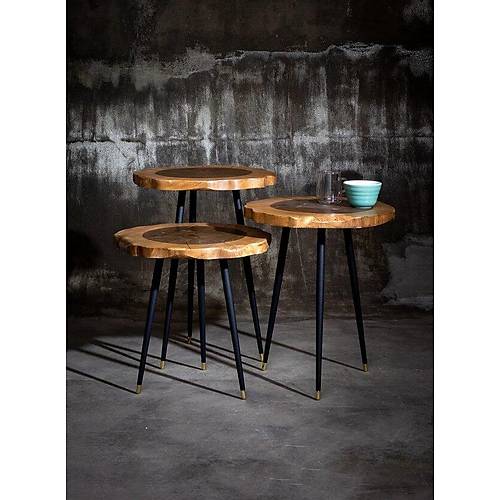 Harley Servis Sehpa - Görsel 6