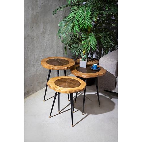 Harley Servis Sehpa - Görsel 4