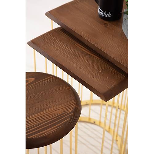 Nova Gold Zigon Sehpa - Görsel 3